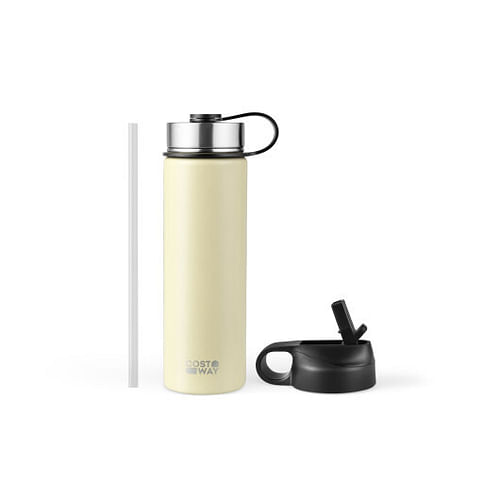 22 Oz Double-walled Insulated Stainless Steel Water Bottle with 2 Lids and Straw-Beige - Free Shipping