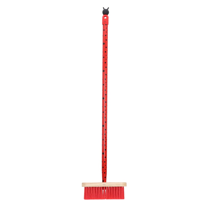 Childrens Broom Insect Ass. 