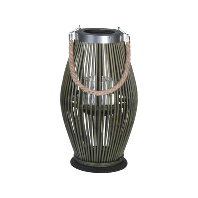 Lantern Bamboo, (YVR Showroom) 
