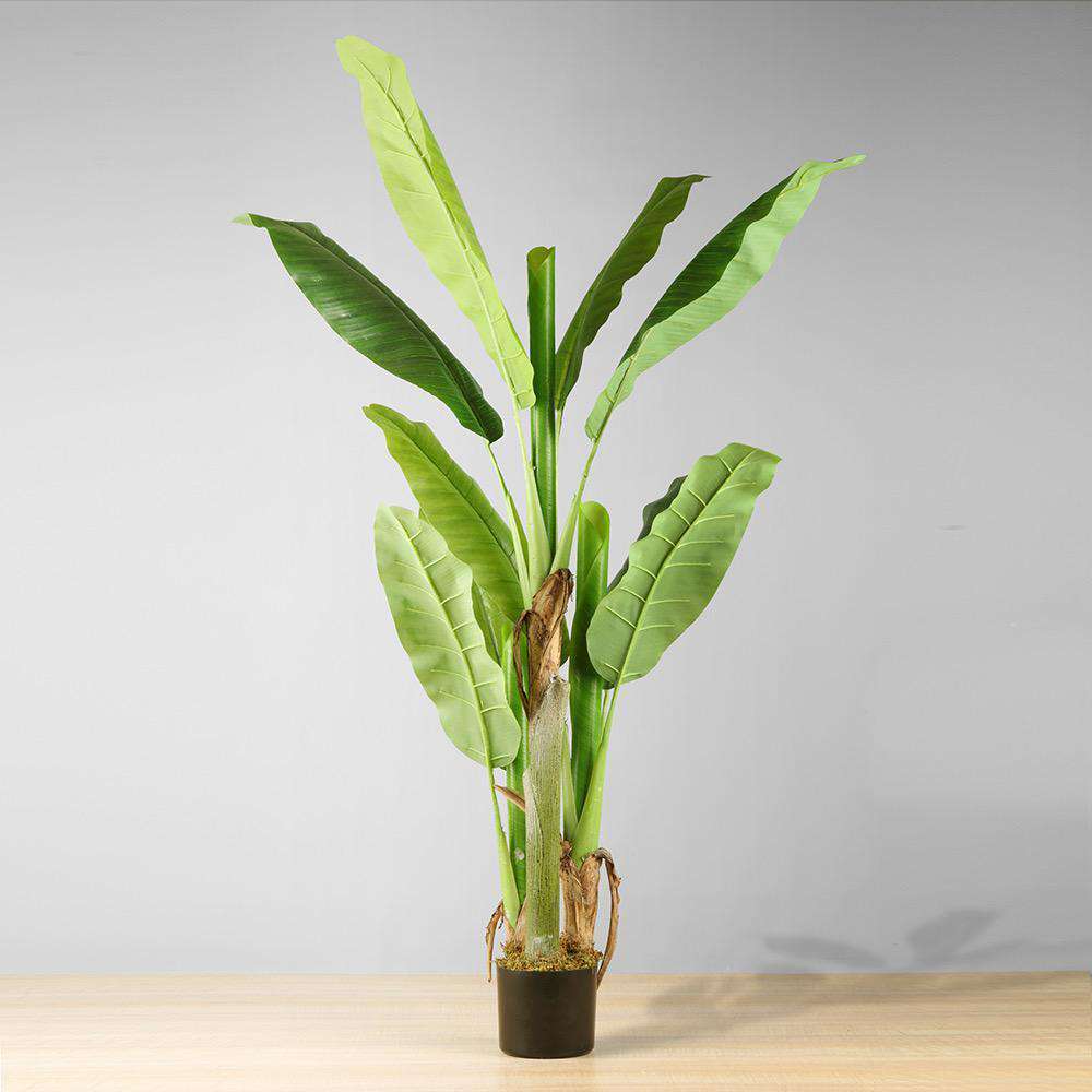 Kiki Artificial Banana Tree Potted Plant 55'' 
