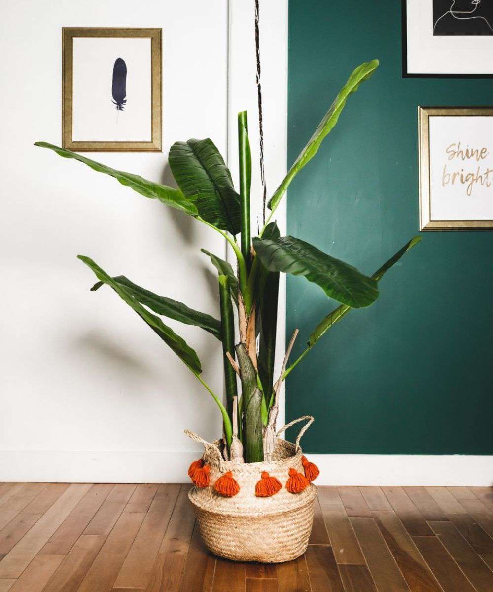 Kiki Artificial Banana Tree Potted Plant 55'' 
