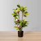 Kira Artificial Magnolia Tree Potted Plant 28
