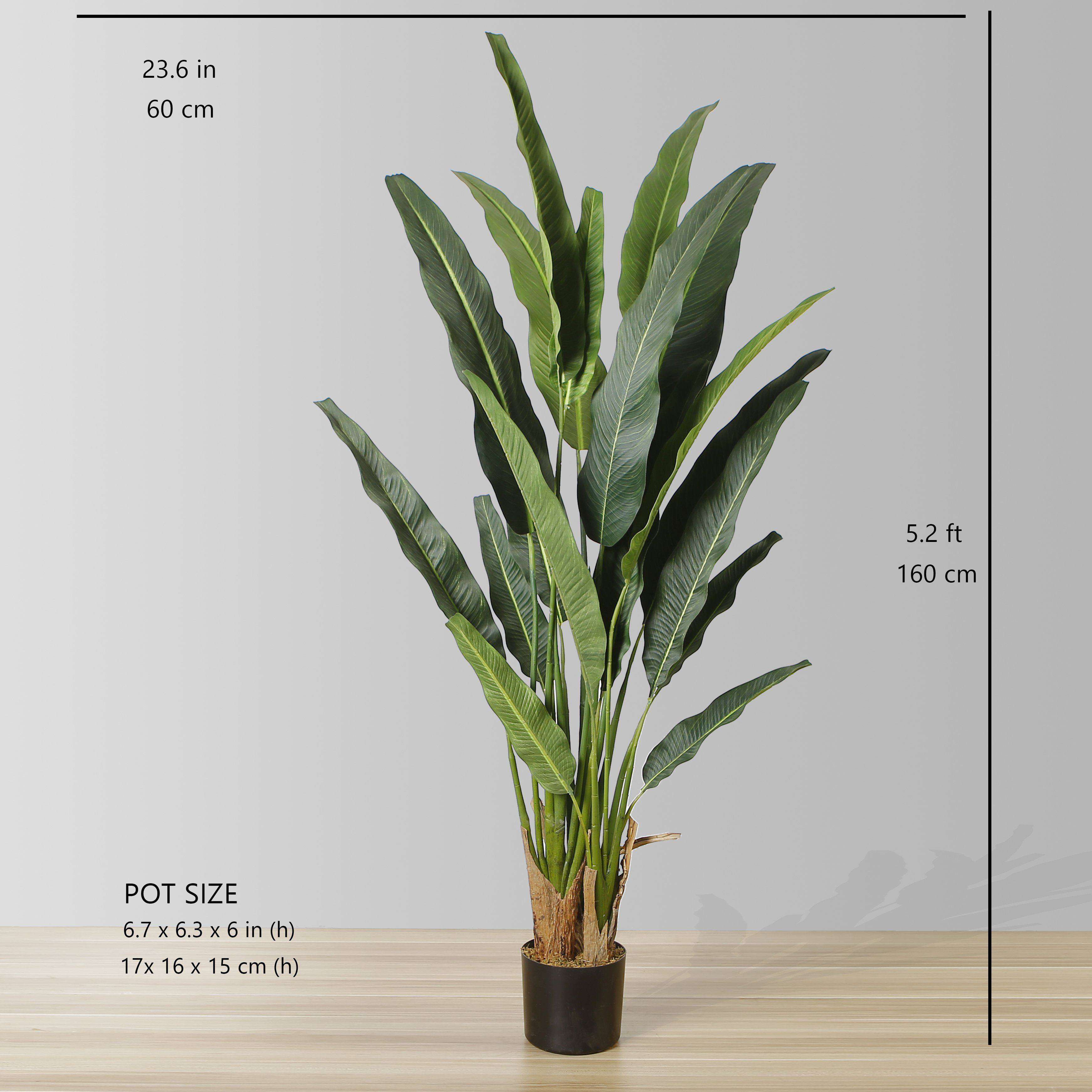 Kola Artificial Travellers Palm Tree Potted Plant (Multiple Sizes) 