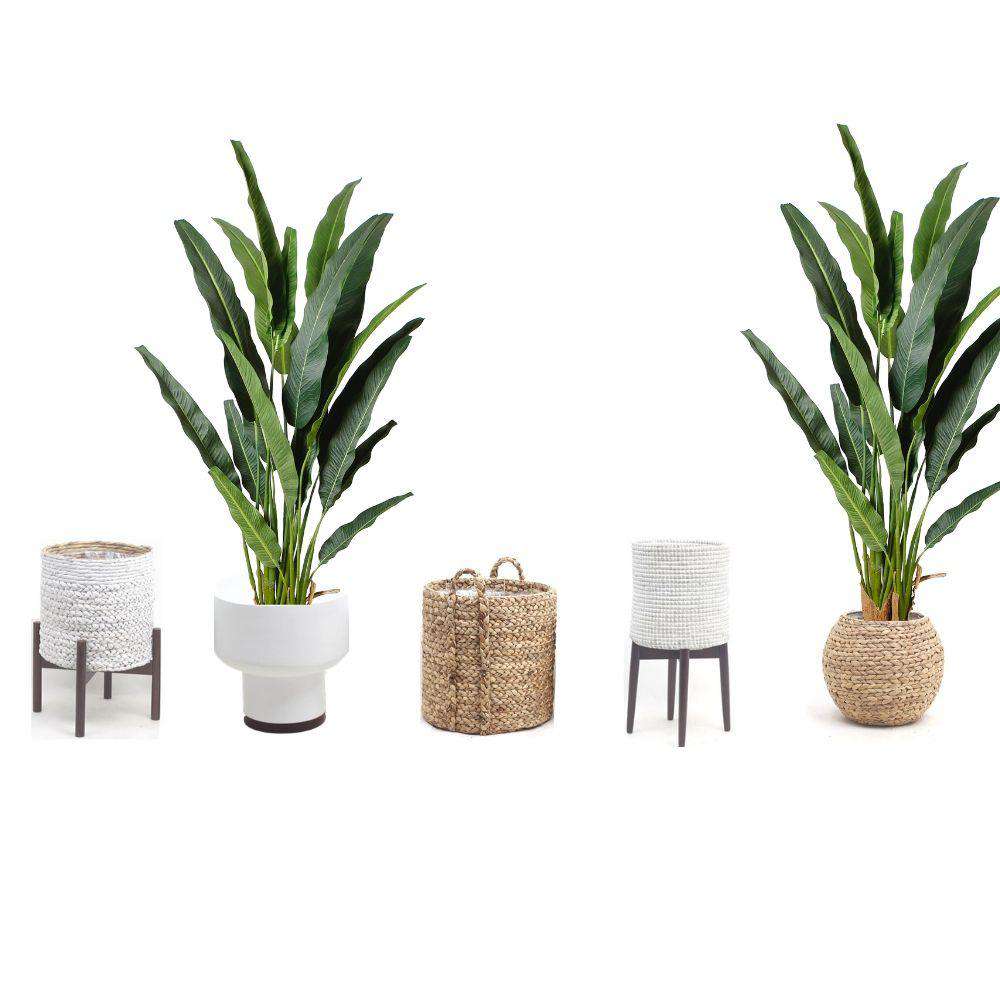 Kola Artificial Travellers Palm Tree Potted Plant (Multiple Sizes) 