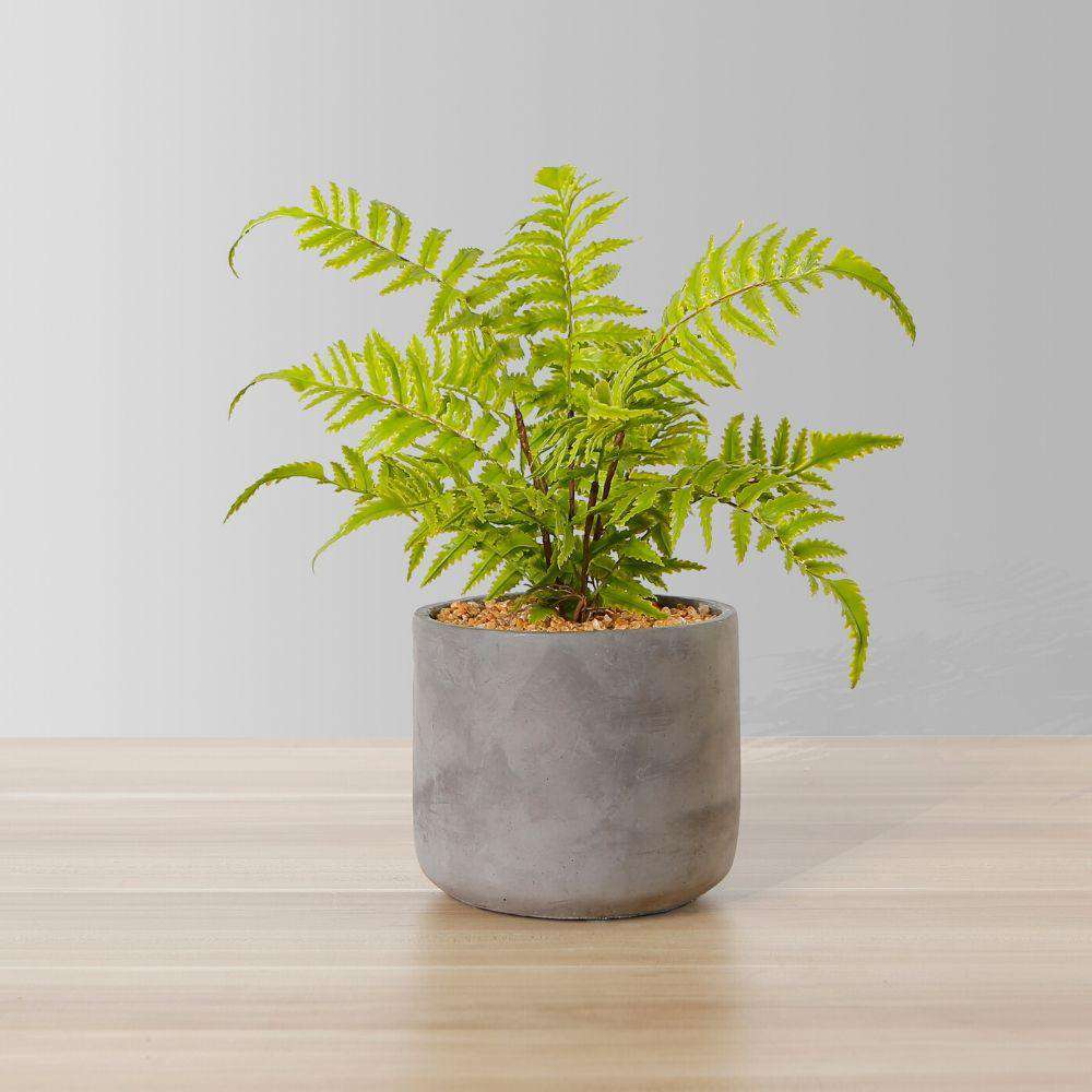 Kuta Potted Faux Fern 