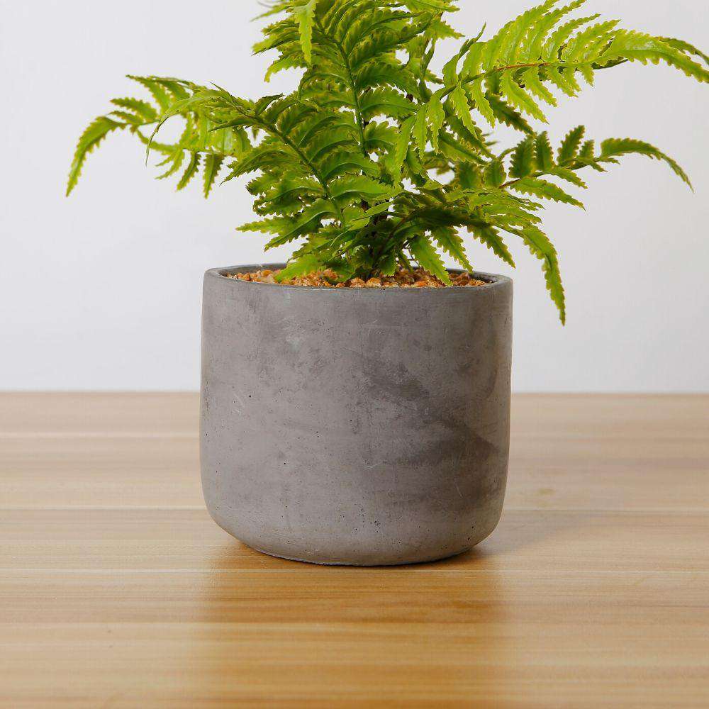 Kuta Potted Faux Fern 