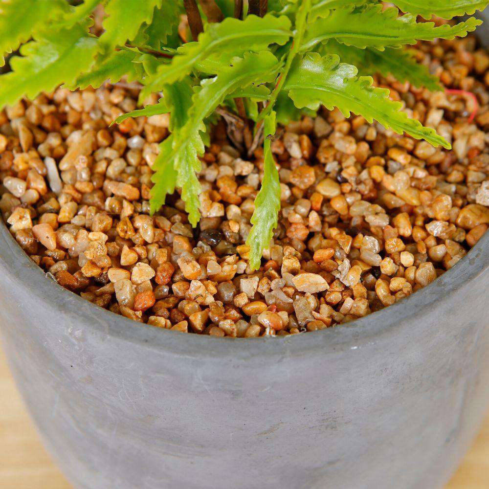 Kuta Potted Faux Fern 
