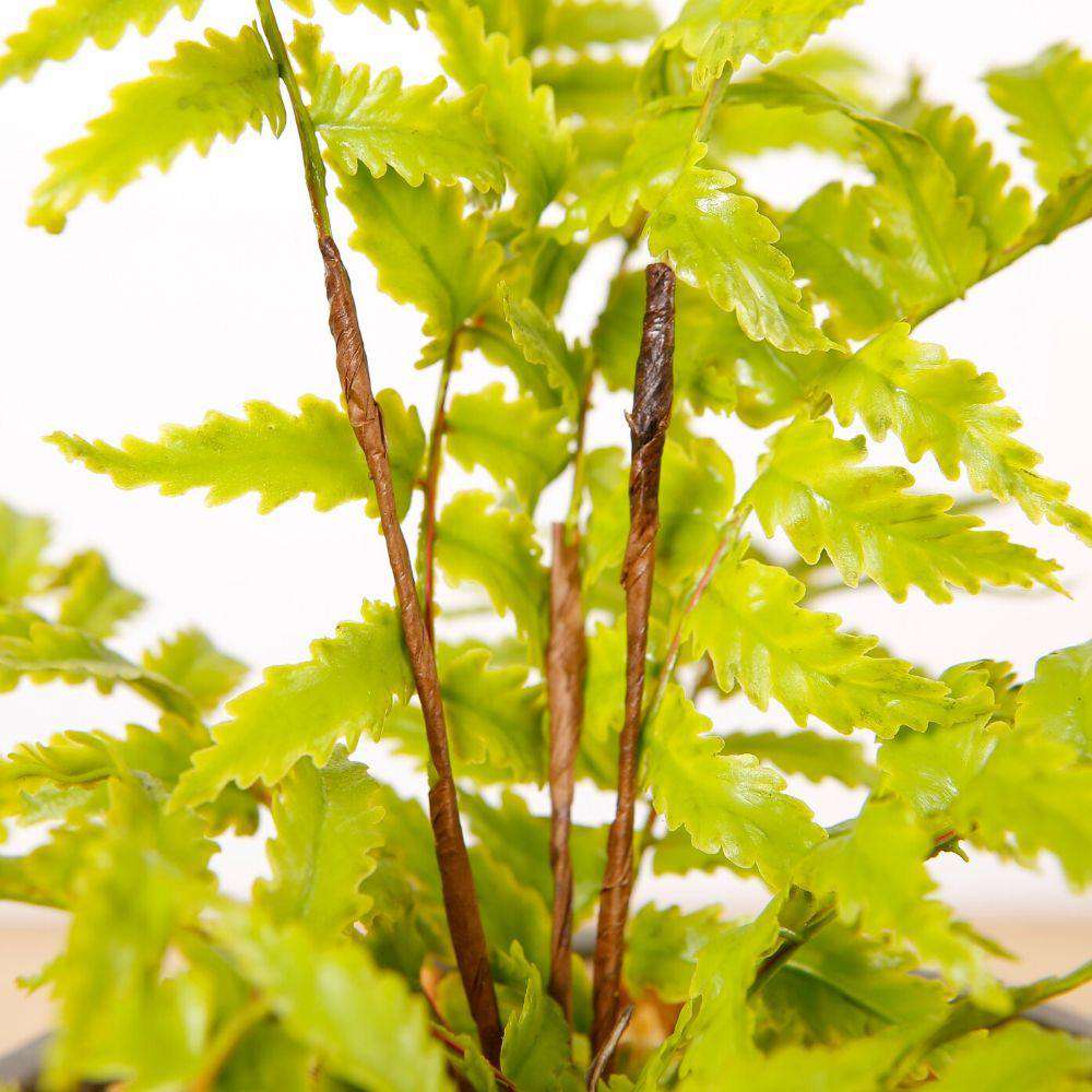 Kuta Potted Faux Fern 