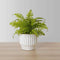 Kuwu Potted Faux Fern – Realistic Small Artificial Fern Plant for Home or Office, UV-Resistant, Pet-Safe, and Maintenance-Free Green Décor