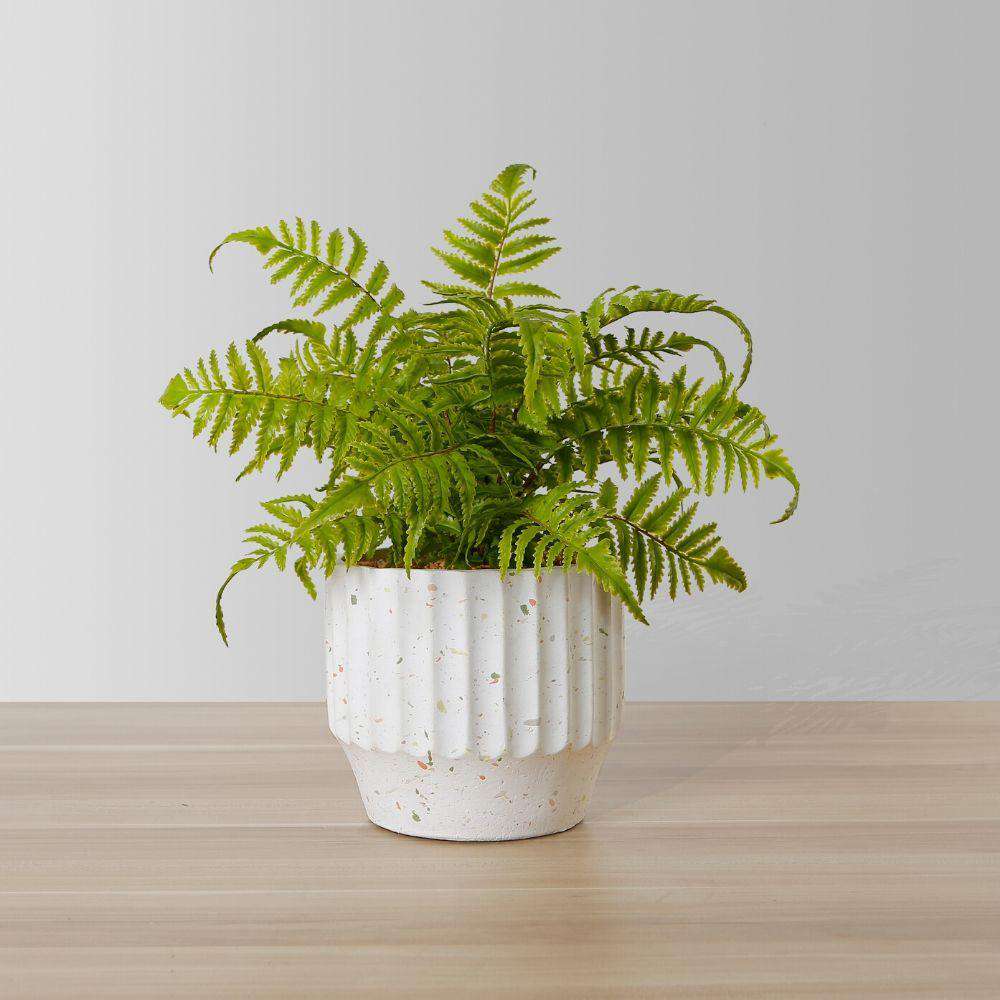 Kuwu Potted Faux Fern 