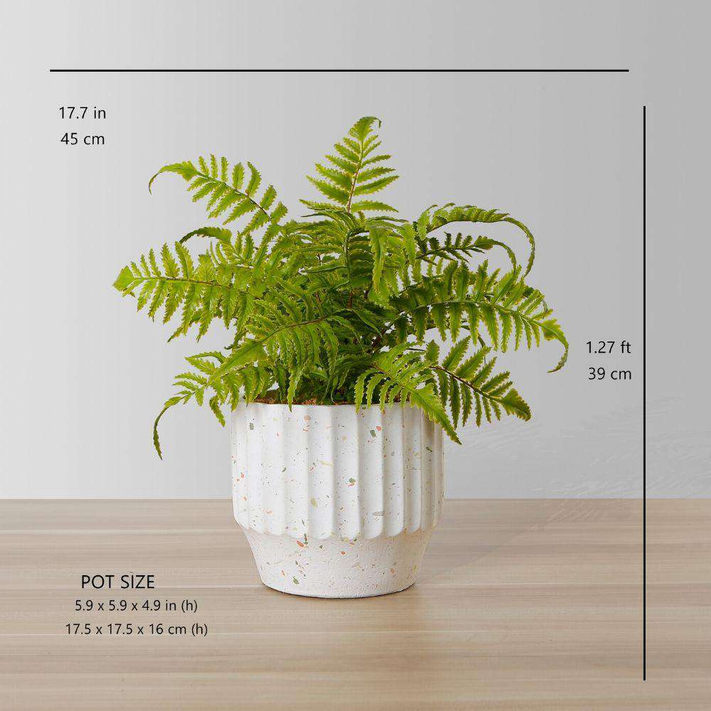 Kuwu Potted Faux Fern 
