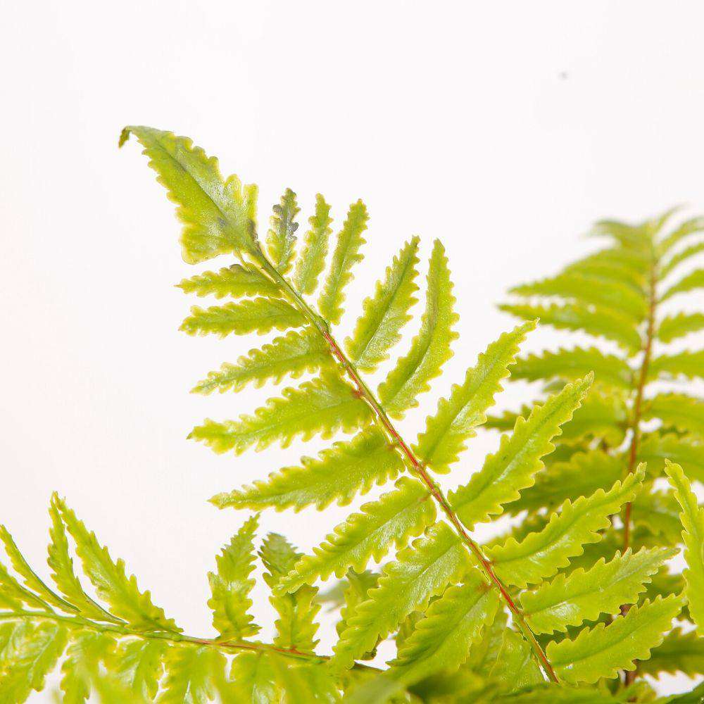 Kuwu Potted Faux Fern 