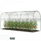 Tunnel Tomato Greenhouse with 4 Hoops and Top Tap, Pointed Bottom and Guy Ropes, 157.5