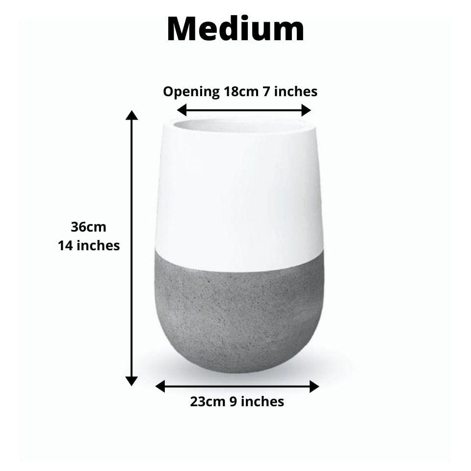 Lagos Cement Planter (Multiple Sizes) 