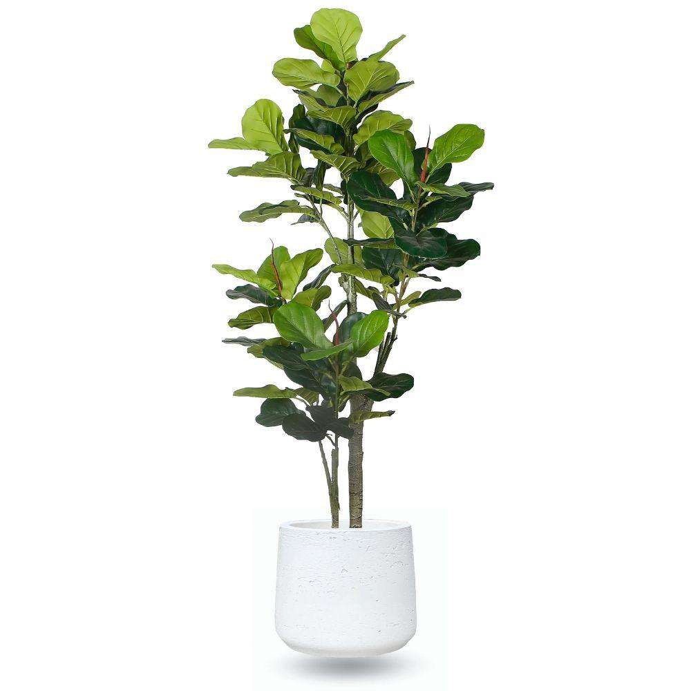Lazaro White Cement Planter 13'' 