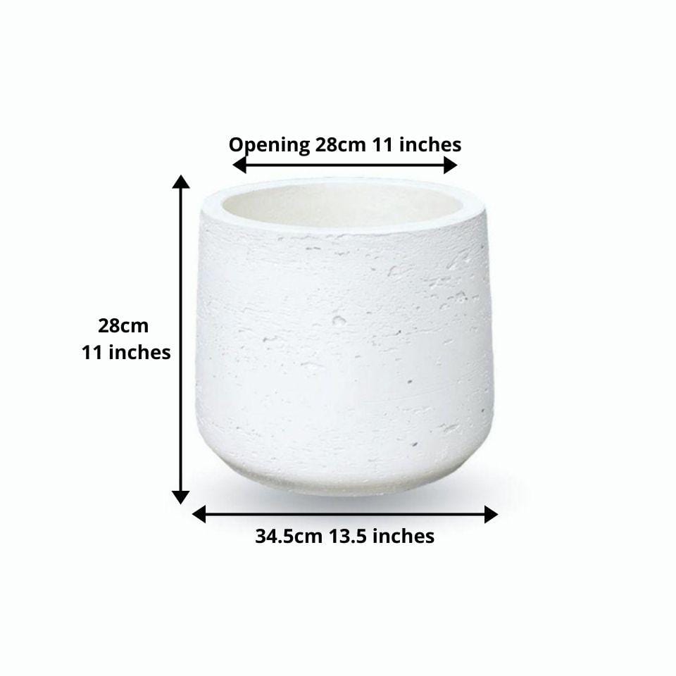Lazaro White Cement Planter 13'' 