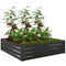Raised Garden Bed Galvanized Steel Planter Box for Vegetables, Flowers, Herbs, Black