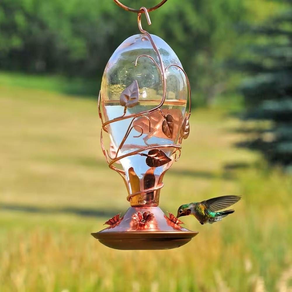 Copper and Glass Hummingbird Feeder - 32 Fl. oz. Nectar Capacity - Free Shipping 