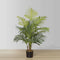 Lolo 3’ Artificial Hawaii Palm Potted Plant – Realistic Faux Tropical Tree with Real Bark and Lush Canopy for Home or Office Décor