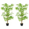 Artificial Bamboo Tree Set of 2, 5ft Fake Tree with Realistic Leaf and Natural Trunk, Decorative Plant in Nursery