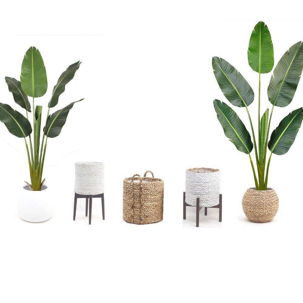 Luca Artificial Bird Of Paradise Potted Plant (Multiple Sizes) 