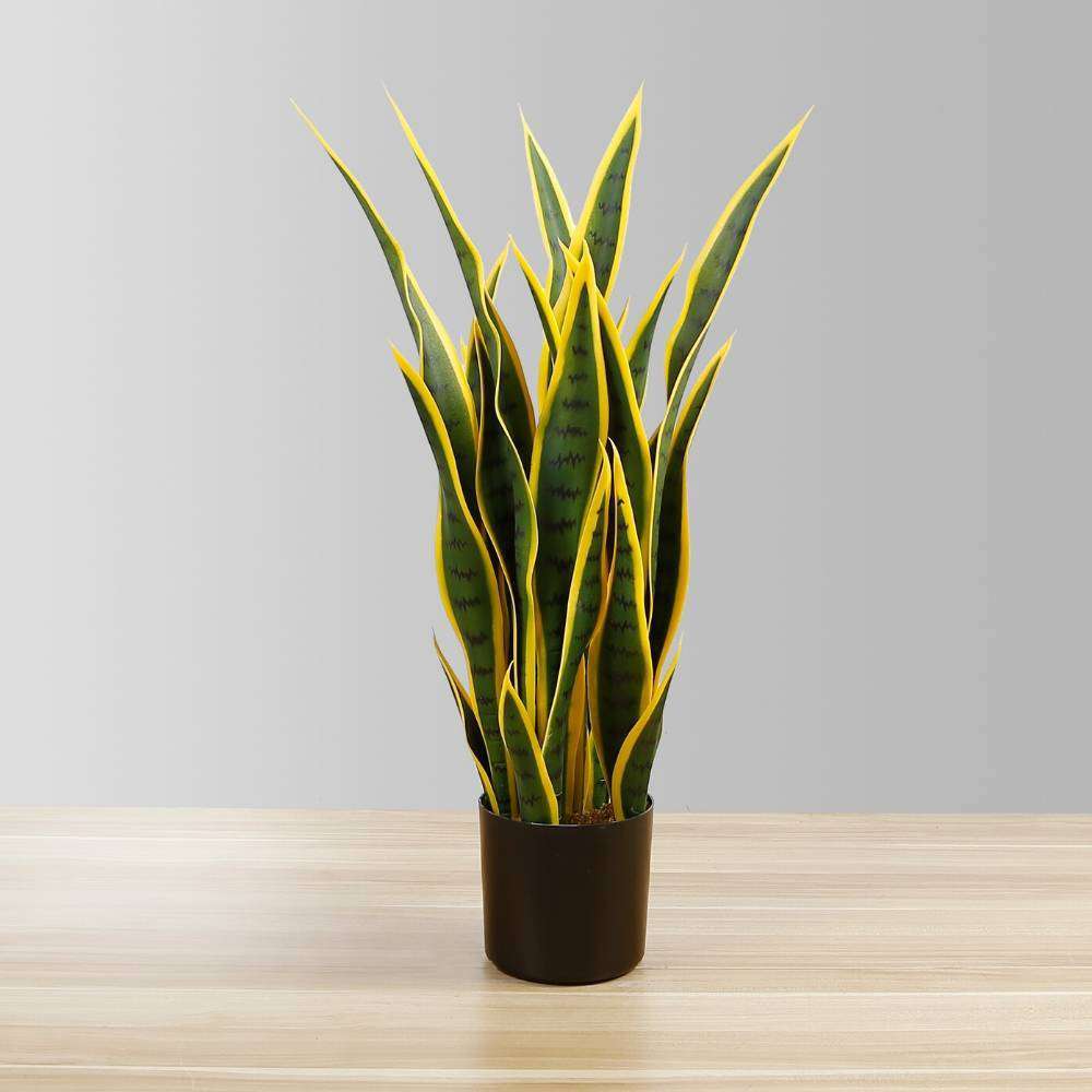 Luis Artificial Snake Sansevieria Yellow & Green Potted Plant 26" 