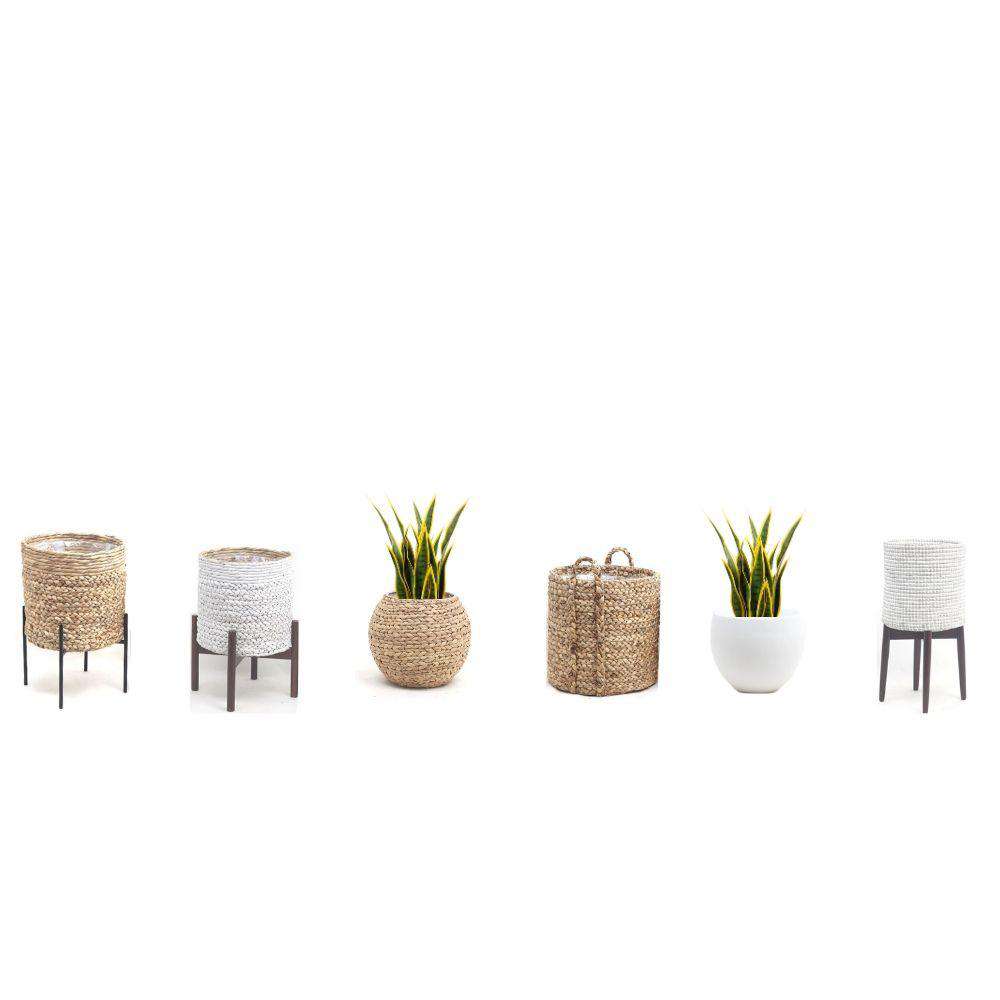 Luis Artificial Snake Sansevieria Yellow & Green Potted Plant 26" 