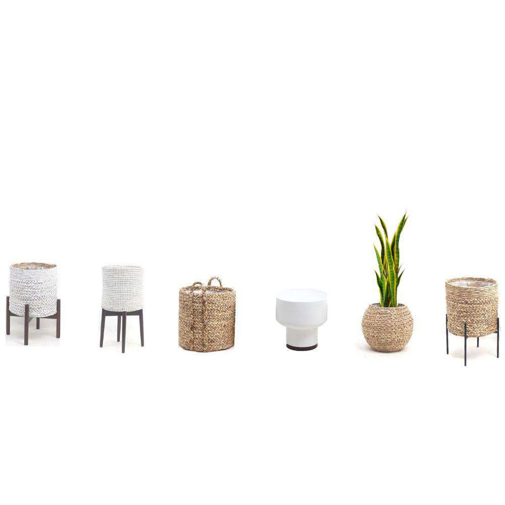 Luna Artificial Snake Sansevieria Yellow & Green Potted Plant (Multiple Sizes) 