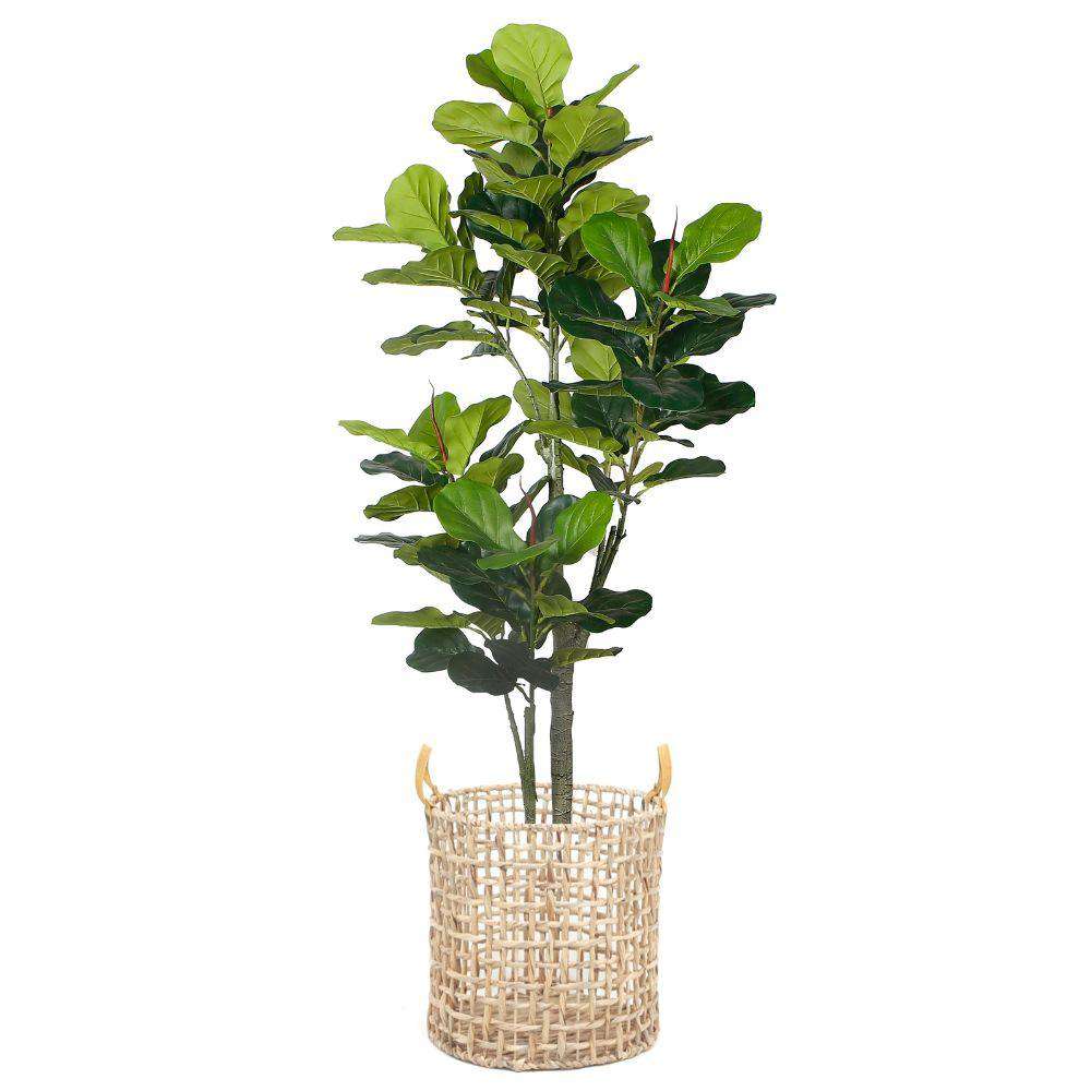 Lupe Water Hyacinth Planter 