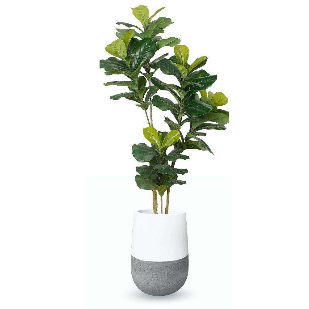 Lagos Cement Planter (Multiple Sizes) 