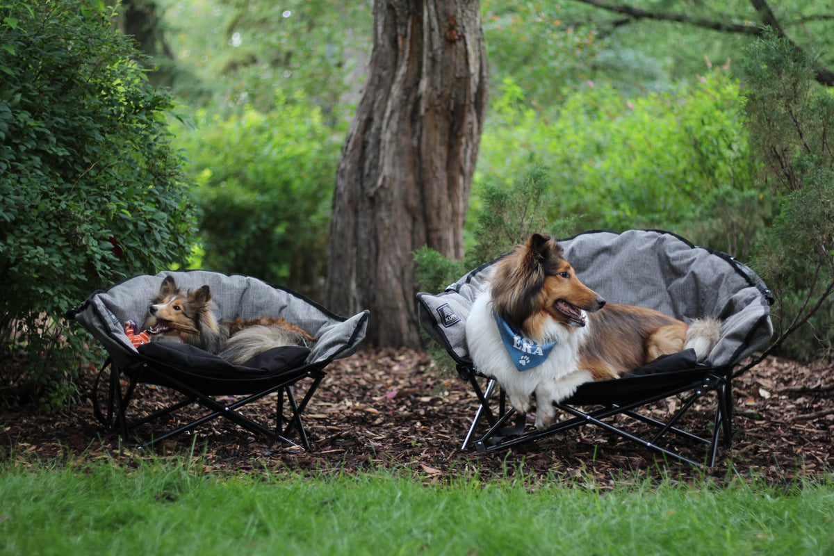 Kuma Little  Lazy Bear Dog Bed