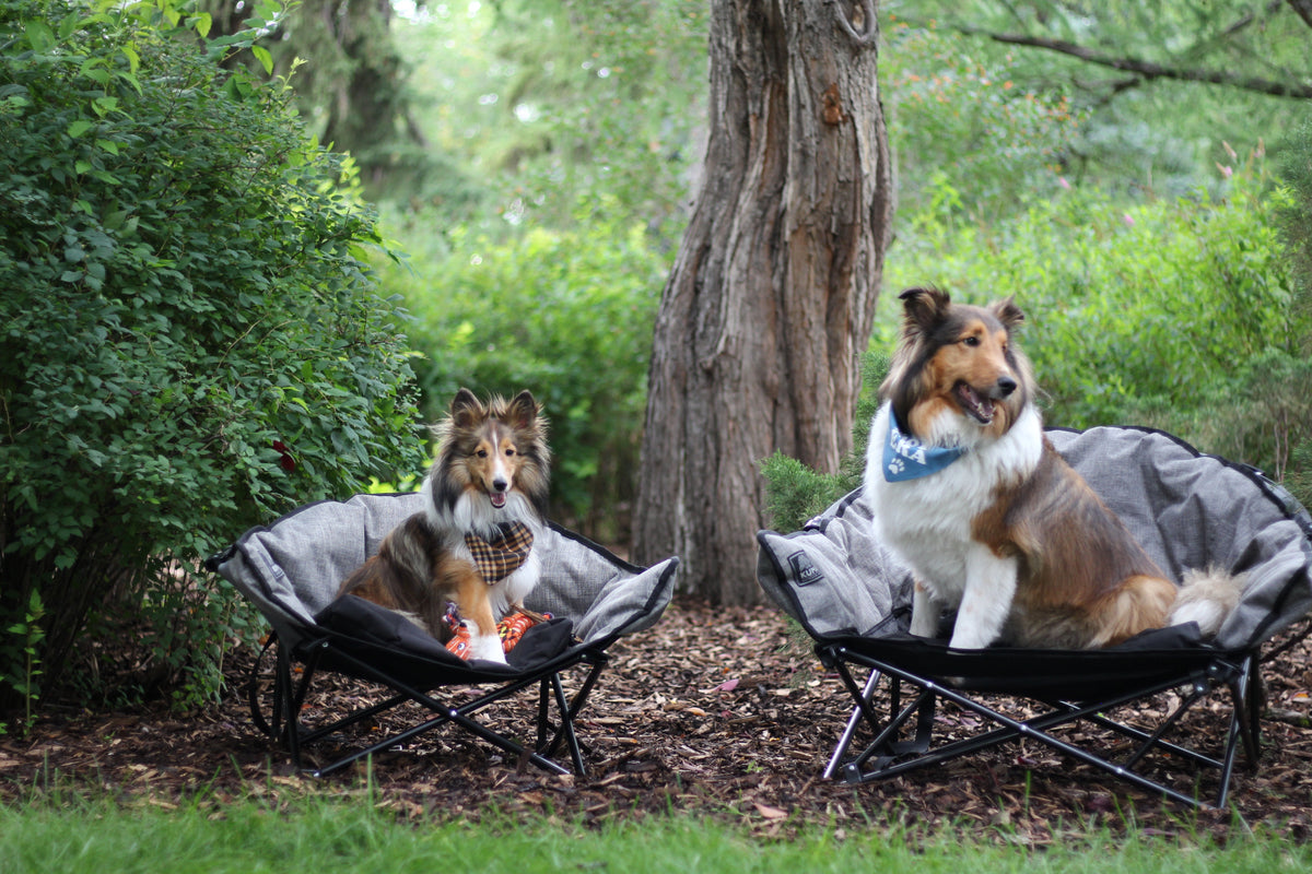 Kuma Little  Lazy Bear Dog Bed