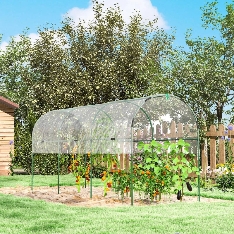 Tunnel Tomato Greenhouse with 4 Hoops and Top Tap, Pointed Bottom and Guy Ropes, 157.5" x 47.2" x 66.9", Clear