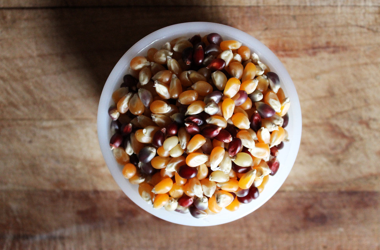 Bulk Ancient Grain Organic Premium Popcorn Kernels (6lbs, 12lbs, 18lbs, 24lbs) (Product of Canada) 