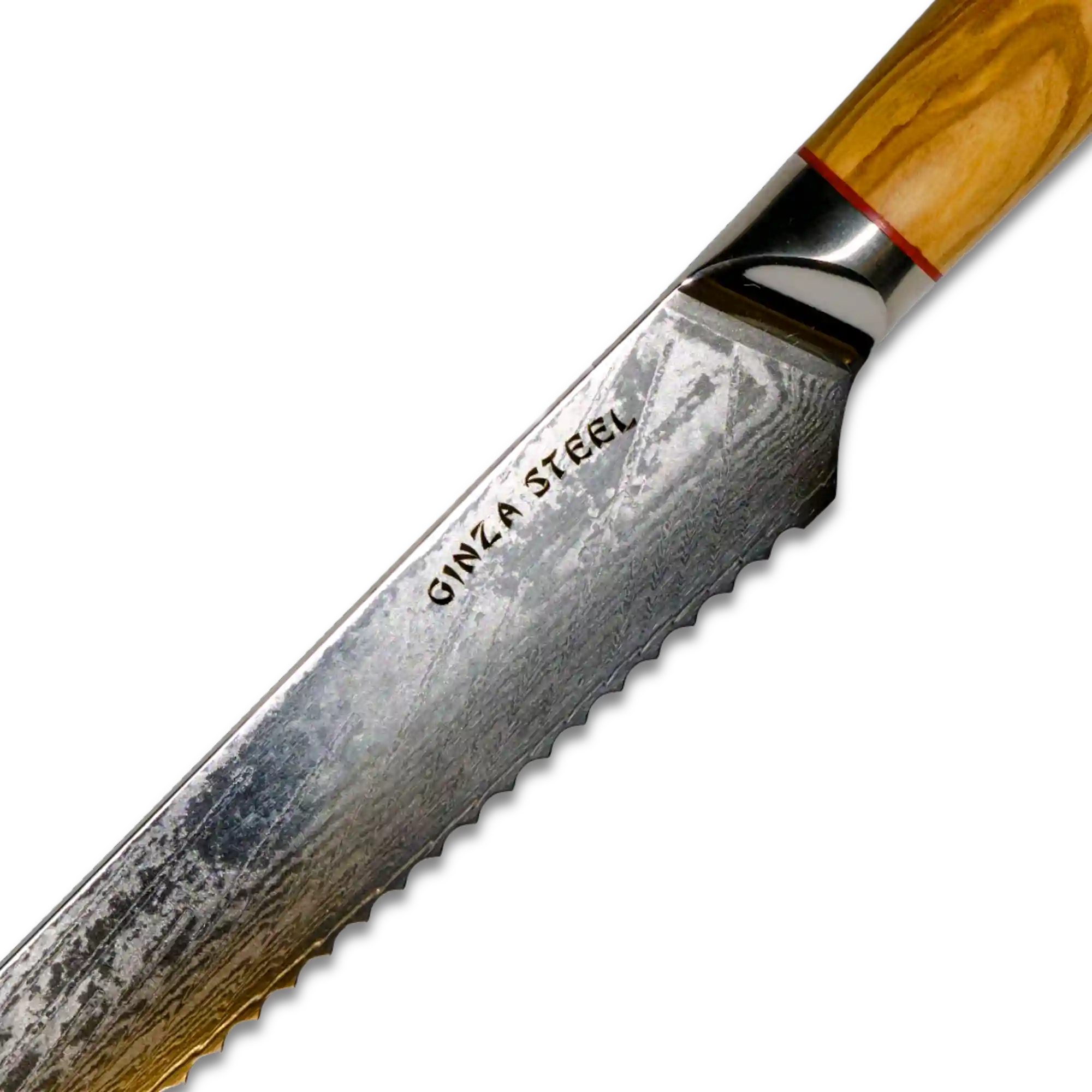 MIA Z | BREAD KNIFE 8" Damascus AUS10 Steel 67 Layer / Olive Wood handle 