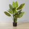 Miki 3’ Artificial Spathiphyllum Leaf Potted Plant – Realistic Faux Peace Lily with Lush Green Foliage for Home or Office Décor