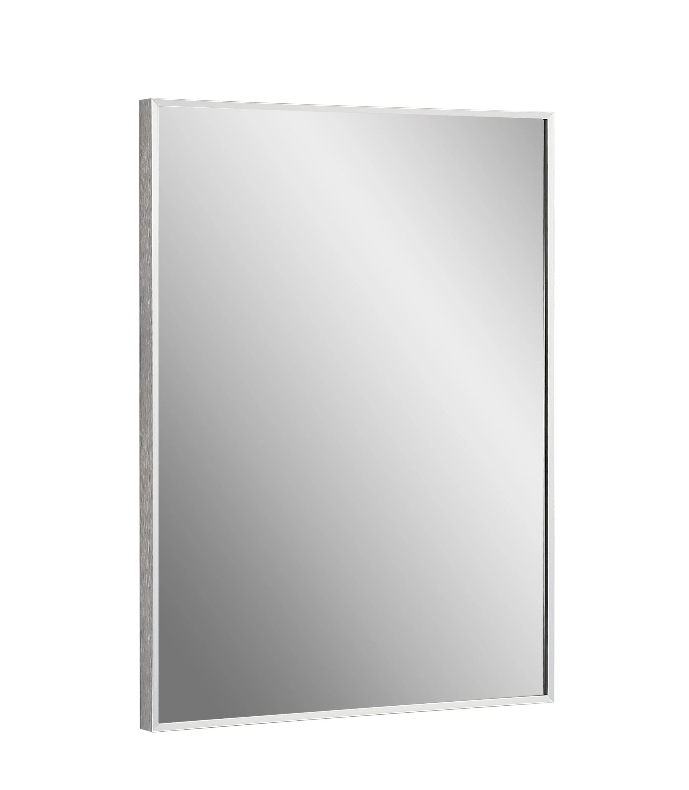 Vera 24" x 32" Rectangular Vanity Mirror with Modern Metal Frame