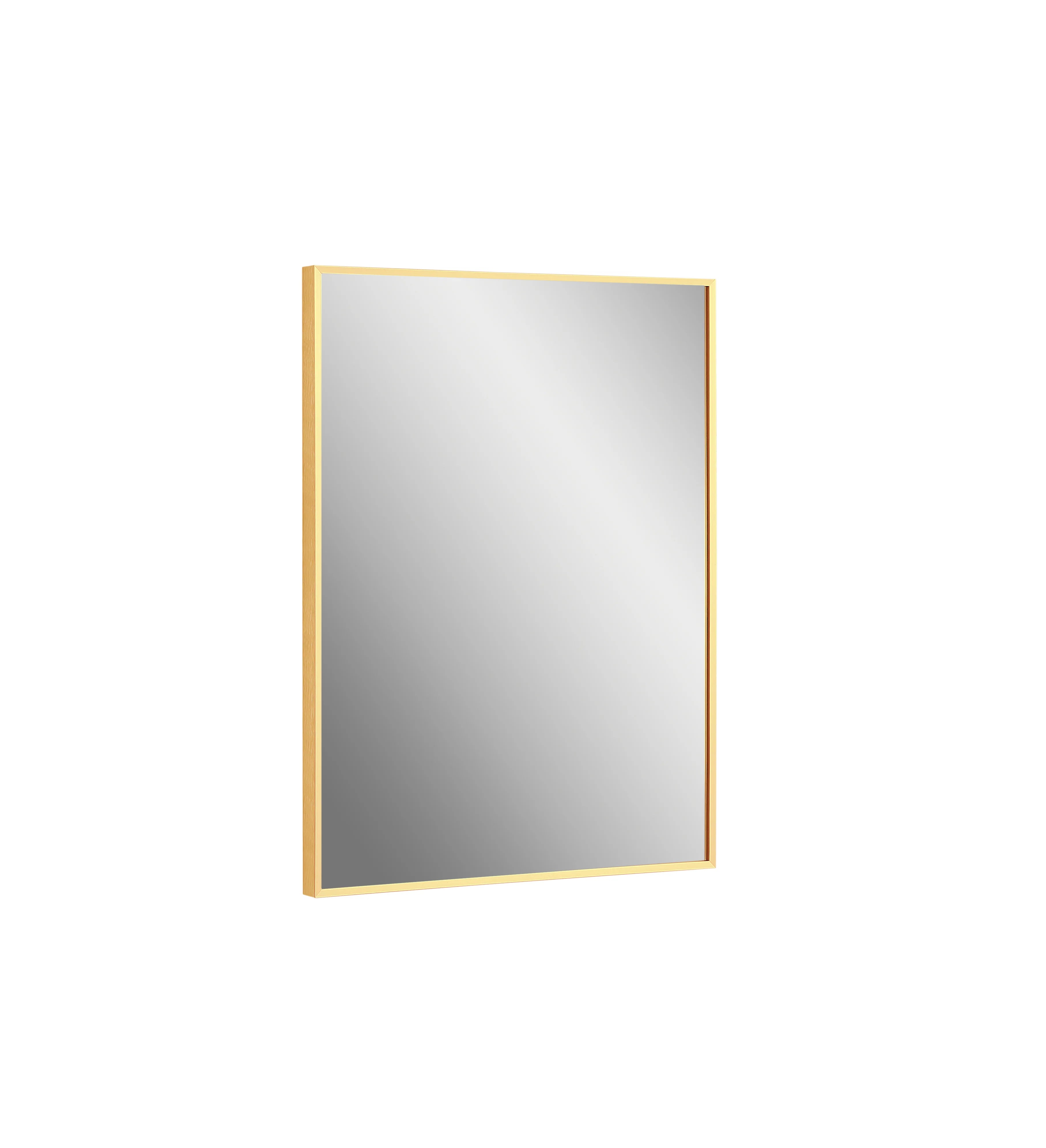 Vera 24" x 32" Rectangular Vanity Mirror with Modern Metal Frame