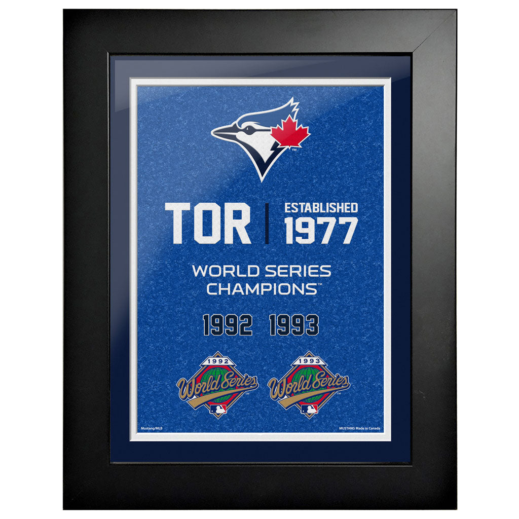 Toronto Blue Jays 12x16 World Series Empire Framed Art 