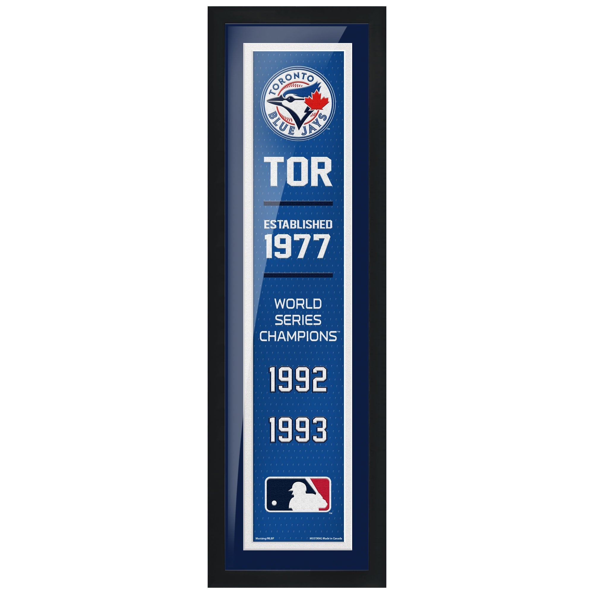 Toronto Blue Jays - 6X22 Framed Artwork- Empire 