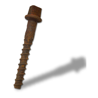 Old Twisted Railway Nails 