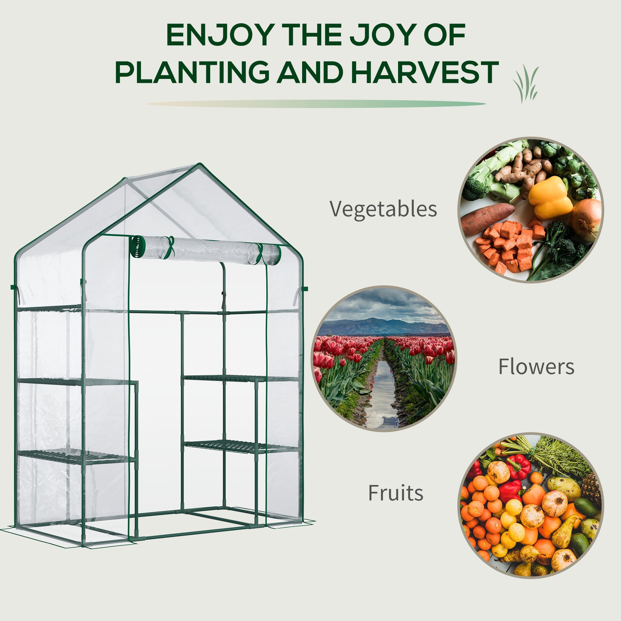 Outsunny Greenhouse Getaway: 56" x 29" x 77" Mini Walk-in Greenhouse with 4 Shelves, Roll-Up Door, Weather Cover, Clear 