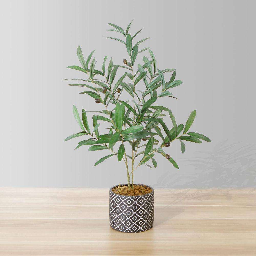 Madero Potted Faux Olive Plant 