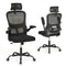 Mesh Office Chair with Adaptive Lumbar Support  Flip-up Armrests  Reclining Backrest-Black