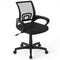 Mid-Back Mesh Office Chair Ergonomic Computer Chair with Lumbar Support-Black