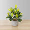 Moralilo Potted Faux Watercress Plant – 18