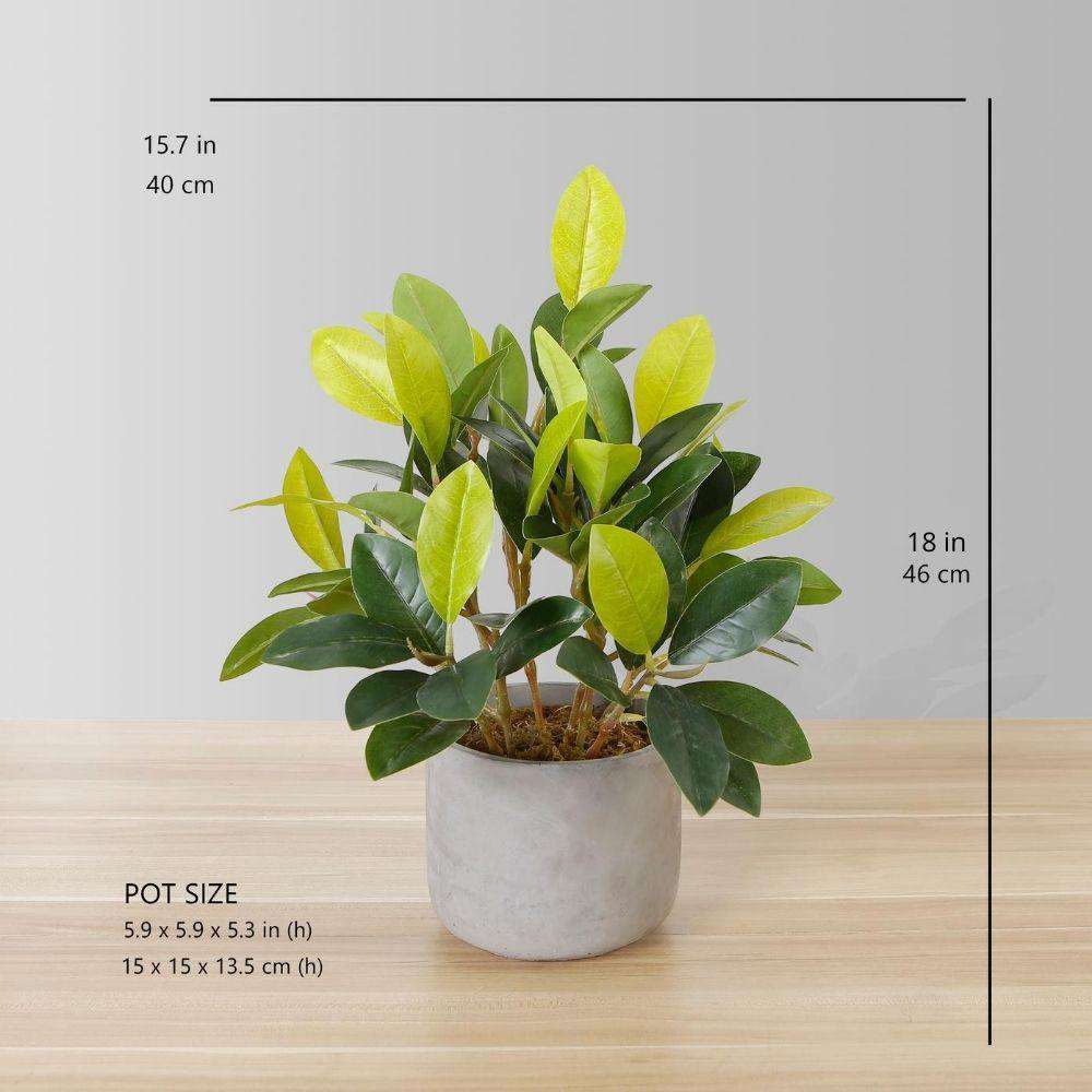 Moralilo Potted Faux Watercress Plant 