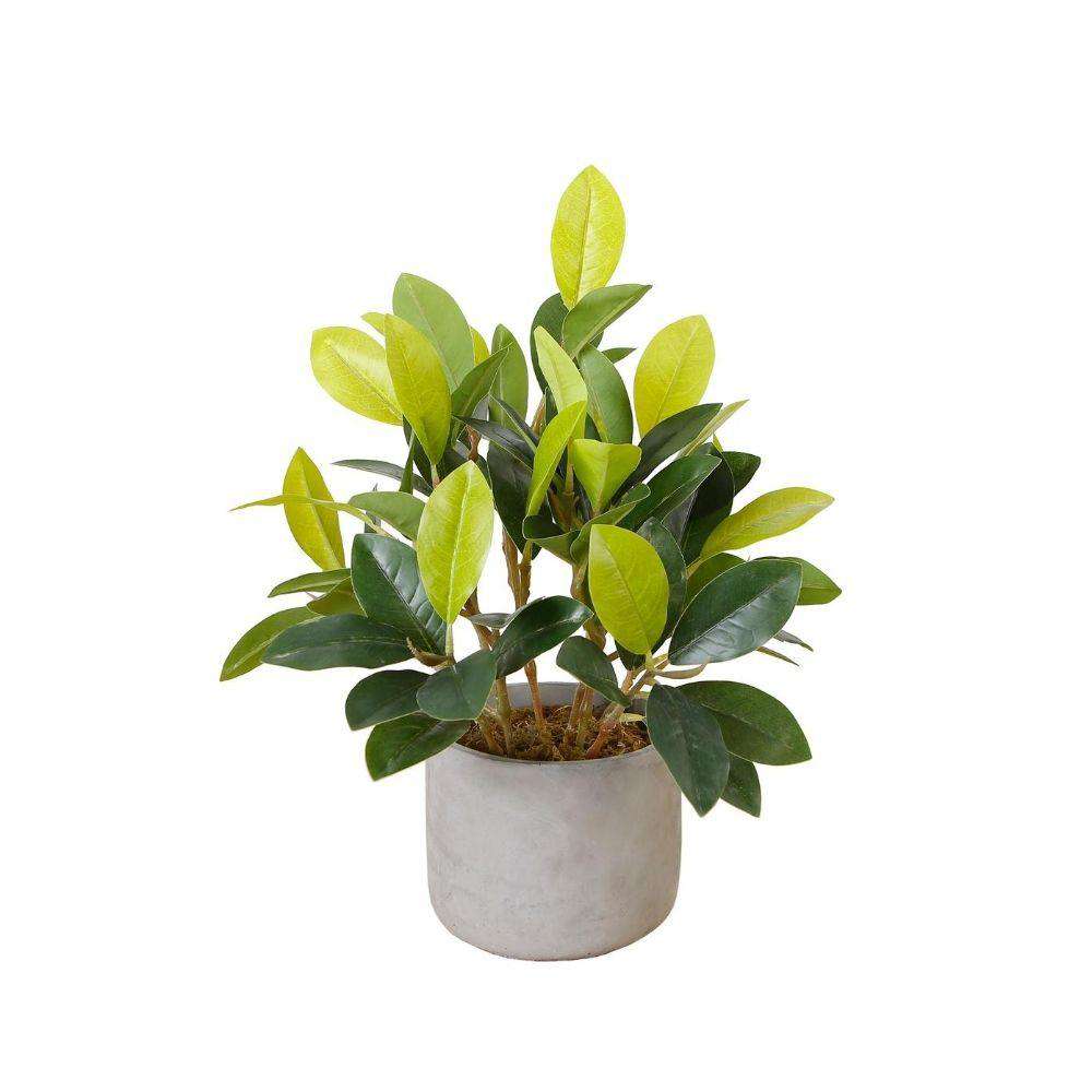 Moralilo Potted Faux Watercress Plant 