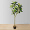 Nero 5’ Artificial Rubber Potted Plant – Realistic Faux Greenery with Handcrafted Lush Leaves for Home or Office Décor