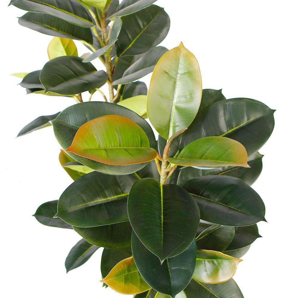 Nero Artificial Rubber Potted Plant 5' 